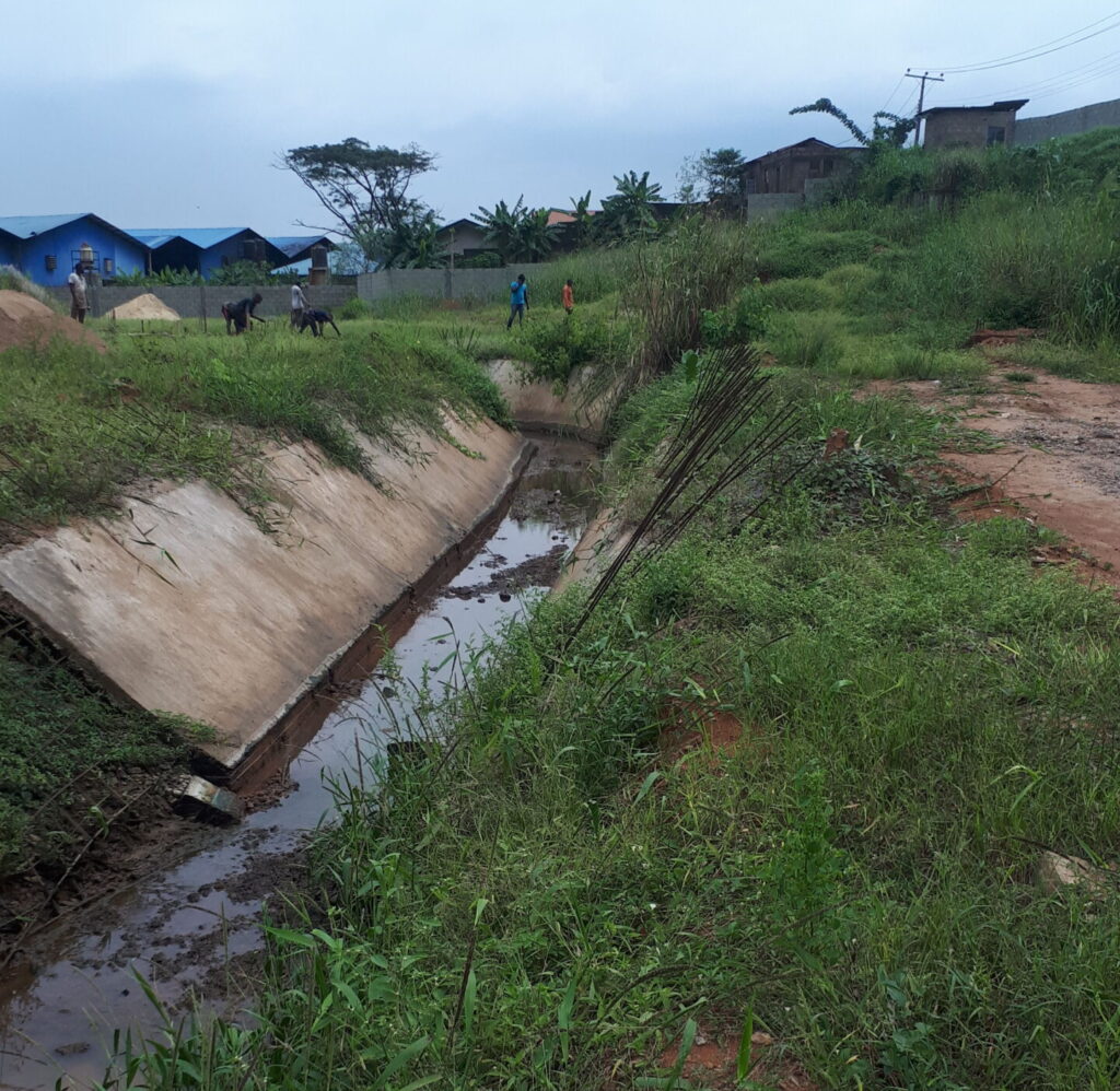 environmentManagement