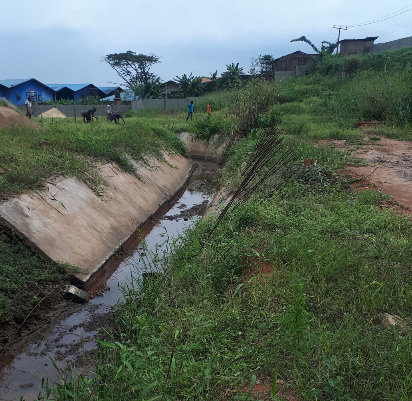 environmentManagement